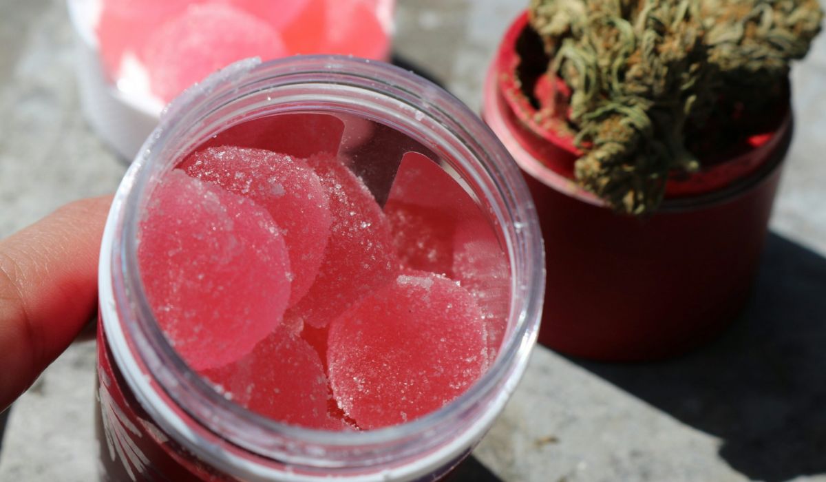 Pink cannabis edible gummies in a glass jaw with a cannabis grinder behind it with raw cannabis flower sitting on top